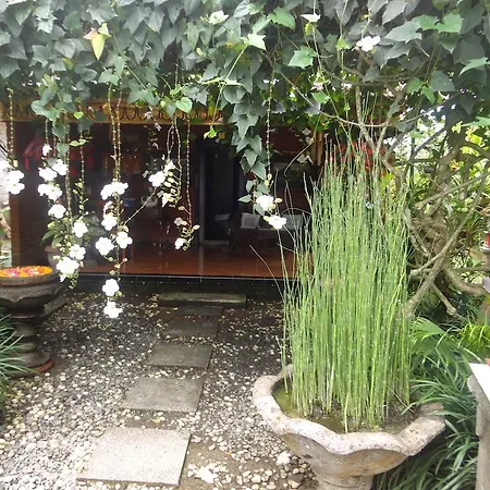 Anom Cottages